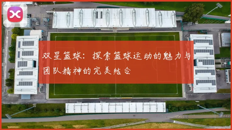 双星篮球：探索篮球运动的魅力与团队精神的完美结合