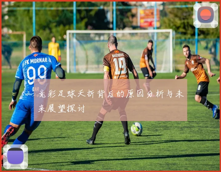 竞彩足球夭折背后的原因分析与未来展望探讨