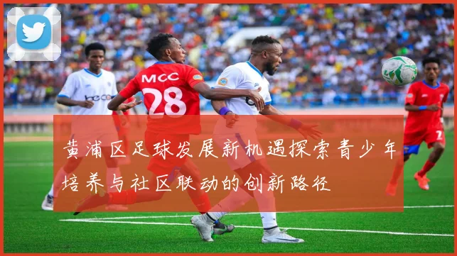 黄浦区足球发展新机遇探索青少年培养与社区联动的创新路径