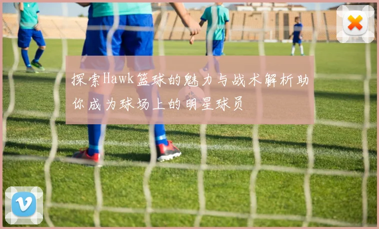探索Hawk篮球的魅力与战术解析助你成为球场上的明星球员