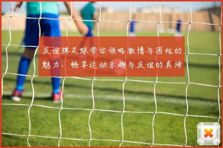 友谊牌足球带你领略激情与团结的魅力，畅享运动乐趣与友谊的真谛